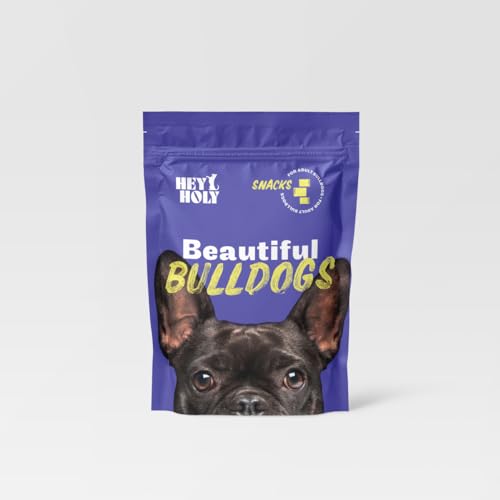 HEY HOLY – Beautiful Bulldogs Snacks – High-Meat Premium Leckerli für Hunde mit 80% Lachs (150g) – Getreidefrei, nur EIN tierisches Protein, besonders gut verträglich, extra viel Fleisch von HEY HOLY