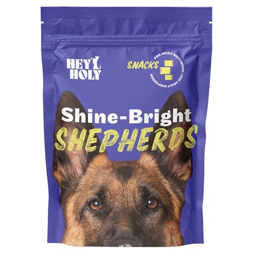 HEY HOLY – Shine-Bright Shepherds Snacks – High-Meat Premium Leckerli für Hunde mit 80% Ente – 4er Pack (4x150g) – Getreidefrei, nur EIN tierisches Protein von HEY HOLY