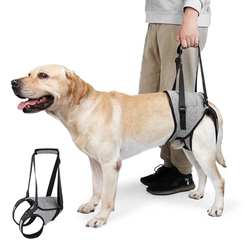 Tragehilfe, Tragehilfe Hund Treppe, Hundeliftgeschirr Mobilitätshilfen, Tragehilfe Hund Hinterbeine Einstellbar Bietet Unterstützung für Hund Schwache Beine Chirurgie Rehabilitation(XL) von HEYOUTH