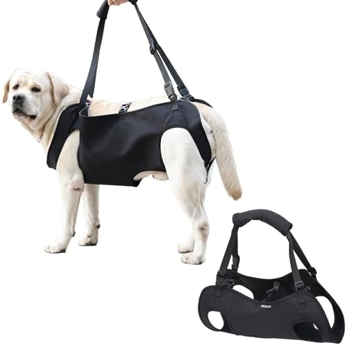 Tragehilfe,Tragehilfe Hund Treppe,Hundeliftgeschirr Mobilitätshilfen,Tragehilfe Hund Hinterbeine Einstellbar Bietet Unterstützung für Mittelgroß Älterer Hund Schwache Beine Chirurgie Rehabilitation(xL von HEYOUTH