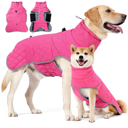 HEYWEAN Hundemantel Winter Wasserdicht Hundejacke mit D-Ring Warm Mantel Hund Fleece Hundepullover Reflektierende Wintermantel für kleine mittlere große Hunde Kleidung Hundejacke Wandern Winterweste von HEYWEAN