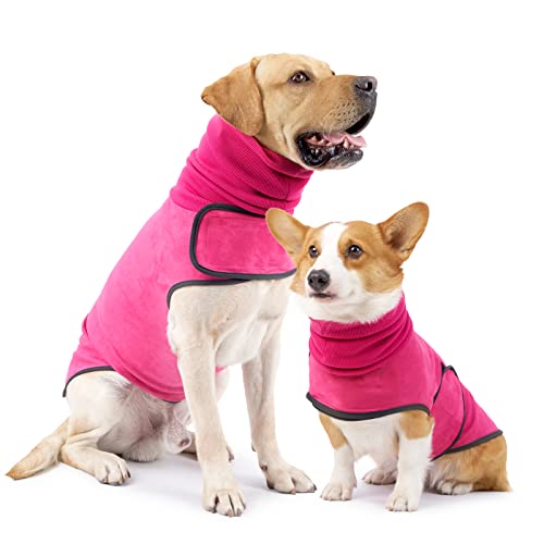 HEYWEAN Hundepullover Mantel Hund Rollkragenpullover Fleece Hundepullover Kleine Hunde Kleidung Pullover Hund Warme Haustier Pullover für Hundewelpen Hundepullover klein mittelgroße Hunde von HEYWEAN