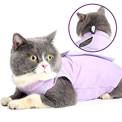 HEYWEAN Katzenbody Nach Op Kastration Cat Recovery Suit Medizinischer Weste Kätzchen Bodysuit Nach der Operation Chirurgischer Anzug für Katzen Haustier Hemd Pyjama Katzen Kleidung von HEYWEAN