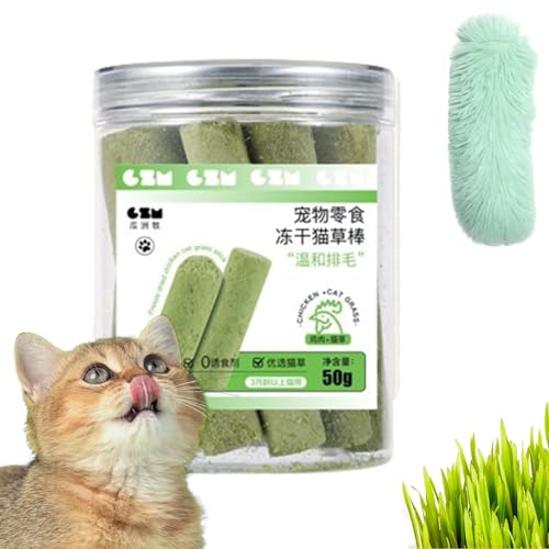 HFDHD Kittygreen Sticks, Katzengrassticks aus natürlichen Zutaten, Katzengras-Beißsticks für Hauskatzen, Katzengras-Zahnreinigungssticks, Katzengras-Leckerlis (1Can) von HFDHD