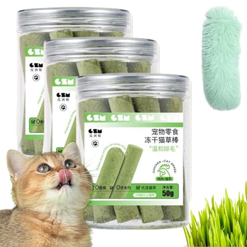 HFDHD Kittygreen Sticks, Katzengrassticks aus natürlichen Zutaten, Katzengras-Beißsticks für Hauskatzen, Katzengras-Zahnreinigungssticks, Katzengras-Leckerlis (3Can) von HFDHD