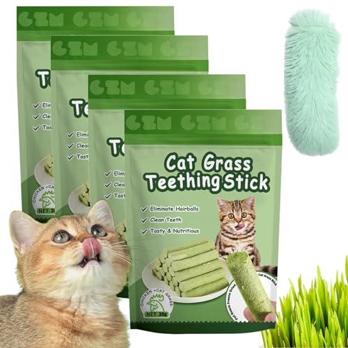 HFDHD Kittygreen Sticks, Katzengrassticks aus natürlichen Zutaten, Katzengras-Beißsticks für Hauskatzen, Katzengras-Zahnreinigungssticks, Katzengras-Leckerlis (4Bag) von HFDHD