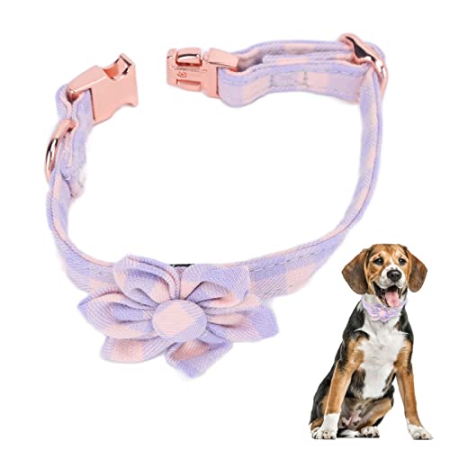 Niedliches Hundehalsband, Haustierhalsband mit Sechs Blütenblättern, Weich, Bequem, Verstellbar, mit Metallschnalle für Kleine, Mittelgroße und Große Hunde(M-Opernrosa) von HFEHSKJ