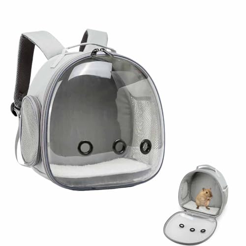 HFLWYWD Tragetasche für Meerschweinchen, tragbare Tragetasche für Kleintiere, Outdoor-Handtasche, fliegendes Eichhörnchen, Ratte, Tragetasche für Hamster, Chinchilla, Kaninchen, Rennmaus, Igel von HFLWYWD