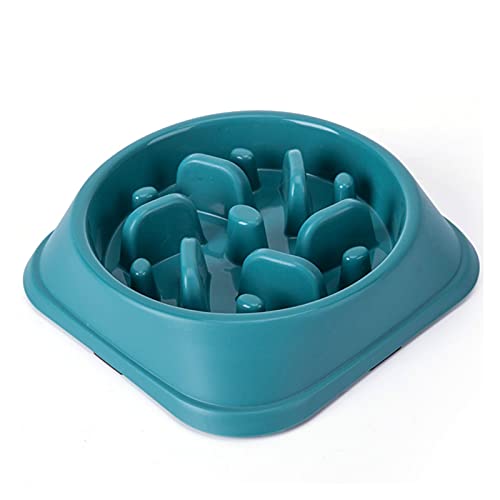 Slow Feeder Bowl Slow Feeder Pet Supplies Pet Accessories Dogs Slow Feeder Bowl for Cat Pets Slow Feeder Dog Bowls Pet Bowl (Color : 1) von HFRUUWSEHJJKK