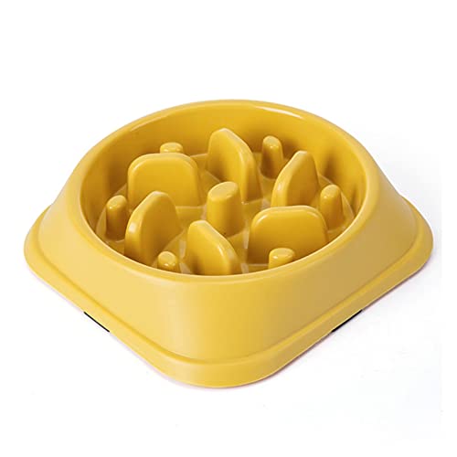 Slow Feeder Bowl Slow Feeder Pet Supplies Pet Accessories Dogs Slow Feeder Bowl for Cat Pets Slow Feeder Dog Bowls Pet Bowl (Color : 4) von HFRUUWSEHJJKK