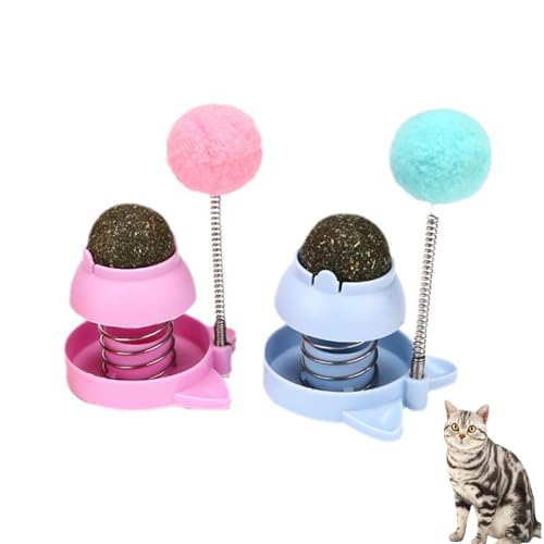 2pcs Katze Katzenminze，Katze Catnip Spielzeug Lecken Lollipop Vitamin Snacks Pudding Fisch Gelatine Aadhesive Band Candy，Rotierende Zahnreinigung Dental Katze Spielzeug, Katzenminze Spielzeug für Kätz von HFYMXNB