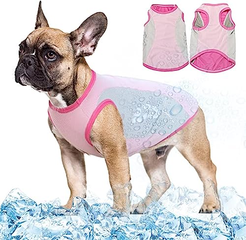HGMOMO Kühlweste für Hunde, atmungsaktiv, sonnenfest, mit reflektierendem Streifen, atmungsaktives Netzgewebe,Hundekleidung für den Sommer, leichte, kühlende Hundejacke,UV-Schutz (XL, Rose) von HGMOMO