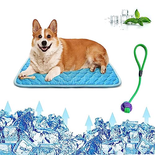 HGMOMO Hundekühlmatte,Haustier Hund Selbstkühlung Pad,EIS Seide waschbar Sommer Kühldecke für Hunde Katzen,Zwinger(XL,Blau) von HGMOMO