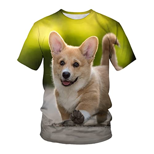 3D T-Shirt Tierhund 3D-Druck Lose Lässige Atmungsaktive Bequeme Kurzarm, A17, XXL von HHSW