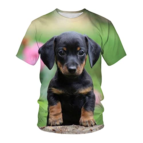 3D T-Shirt Tierhund 3D-Druck Lose Lässige Atmungsaktive Bequeme Kurzarm, A29, XL von HHSW