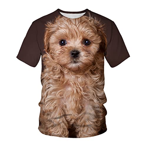 3D T-Shirt Tierhund 3D-Druck Lose Lässige Atmungsaktive Bequeme Kurzarm, A32,6XL von HHSW