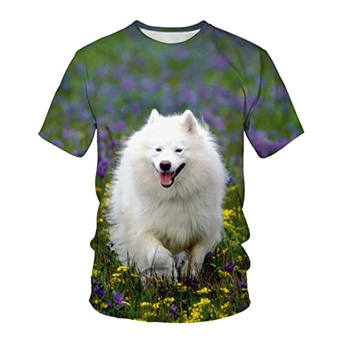 Herren Tshirt Tierhund 3D-Druck Lose, Lässige, Atmungsaktive, Bequeme Kurzarm, A4, 3XL von HHSW