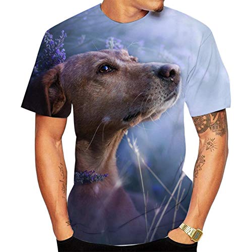 Tshirt Herren Digitale 3D-Rundhals-Hundedruck Mit Kurzen Ärmeln-F_4XL von HHSW