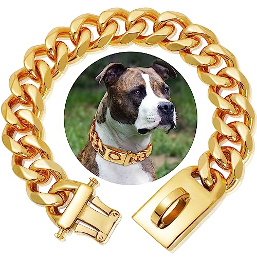 Goldenes Rostfreier Stahl Hundehalsband Metall Hundehalsband Hundekette Pet Halsband für mittlere und große Hunde(45cm) von HIAOCEEY