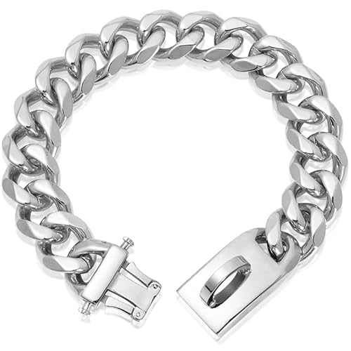 Rostfreier Stahl Hundehalsband Metall Hundehalsband Hundekette Pet Halsband für mittlere und große Hunde(30cm) von HIAOCEEY