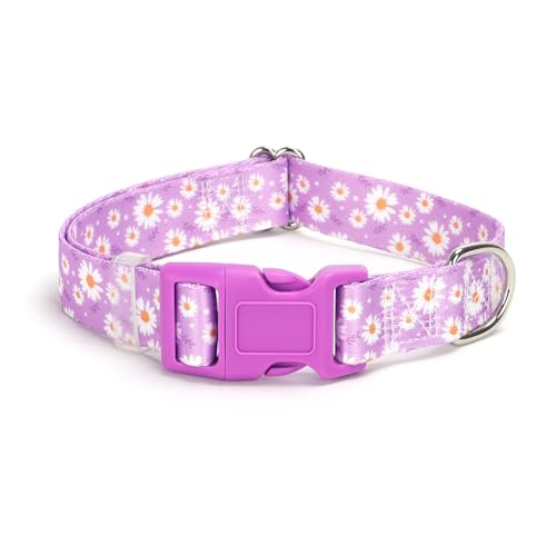 Hundehalsband für XS, S, M, L, XL, XL, XL, verstellbar, bequem, weich, langlebig, Katzen- oder Hundehalsband, Violett mit Gänseblümchen, Größe L von HIDAKEAI