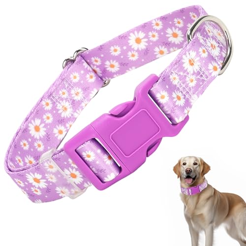 Hundehalsband für XS, S, M, L, XL, XL, XL, verstellbar, bequem, weich, langlebig, Katzen- oder Hundehalsband (lila Gänseblümchen, XS) von HIDAKEAI