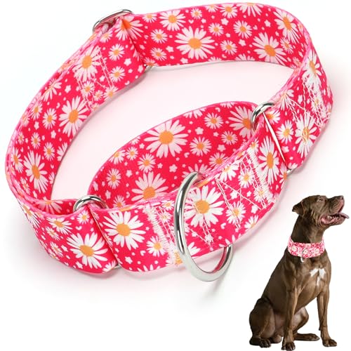 Martingale Halsband für Hunde, 3,8 cm, verstellbar, groß, breit und dick, kein Ziehen, für mittelgroße und große Rassen, robustes Hundehalsband (Rose, M) von HIDAKEAI