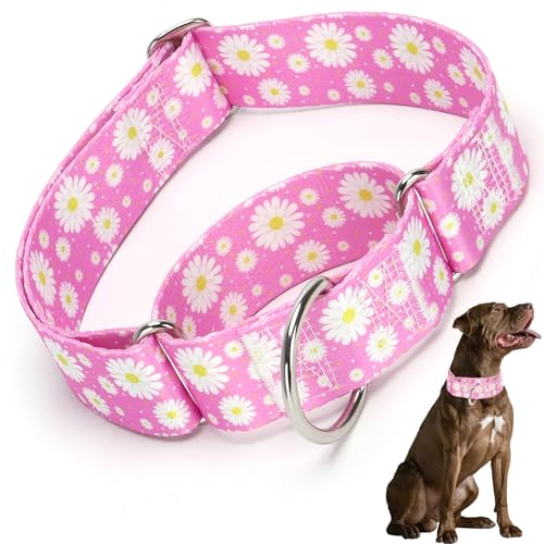 Martingale-Halsband für Hunde, 3,8 cm, verstellbar, groß, breit und dick, kein Ziehen, für mittelgroße und große Rassen, strapazierfähiges Hundehalsband (Hot Pink, L) von HIDAKEAI