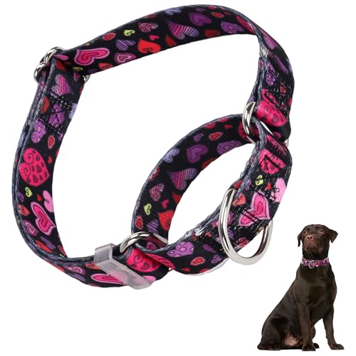 Martingale-Halsband für Hunde, Herzmuster, Martingal-Halsband, verstellbar, hochwertig, rutschfest, mit speziellem Design für kleine, mittelgroße und große Mädchen (Herz L) von HIDAKEAI