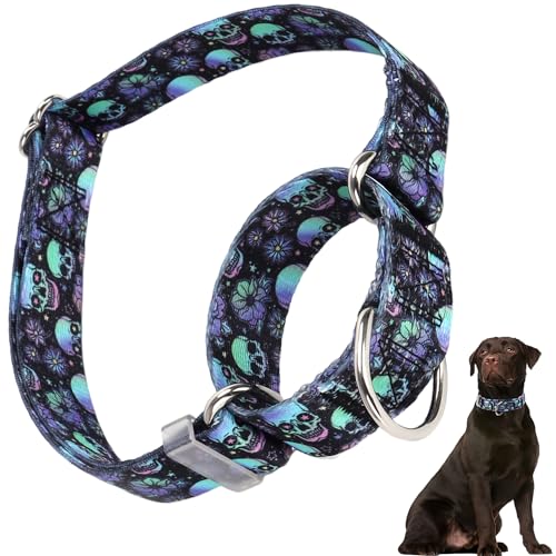 Martingale-Halsband für Hunde, Totenkopf-Martingale-Hundehalsband, verstellbar, hochwertig, rutschfest, Martingal-Halsband für kleine Mädchen oder Jungen von HIDAKEAI