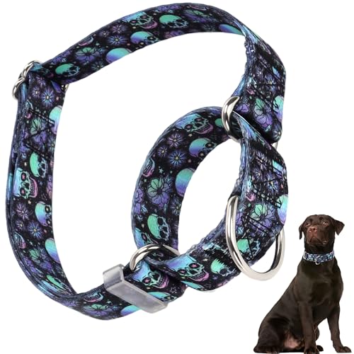 Martingale-Halsband für Hunde, Totenkopf-Martingale-Hundehalsband, verstellbar, hochwertig, rutschfest, Martingal-Halsband für mittelgroße Mädchen oder Jungen von HIDAKEAI