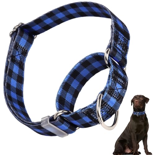 Martingale-Halsband für Hunde, blau kariert, Martingal-Hundehalsband, verstellbar, hochwertig, rutschfest, Martingal-Halsband für mittelgroße Mädchen oder Jungen von HIDAKEAI