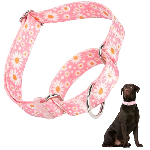 Martingale-Halsband für Hunde, rosa Gänseblümchenmuster, verstellbar, hochwertig, rutschfest, mit speziellem Design für kleine, mittelgroße und große Mädchen (rosa Gänseblümchen, L) von HIDAKEAI