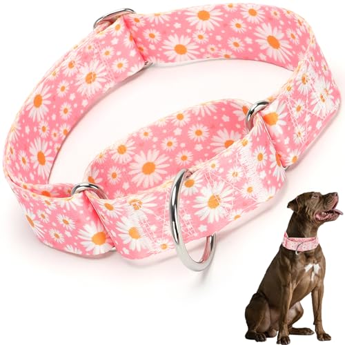 Martingale-Hundehalsband, 3,8 cm, Gänseblümchenmuster, breit, verstellbar, Martingal-Halsband für mittelgroße und große Hunde mit größerem Kopf und Hals (L x B x H) von HIDAKEAI