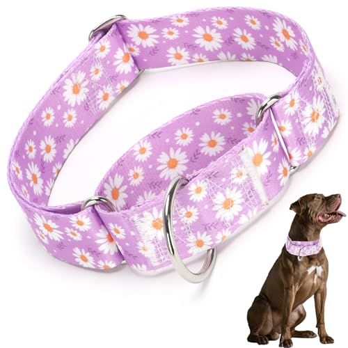 Martingale-Hundehalsband, 3,8 cm, Gänseblümchenmuster, breit, verstellbar, Martingal-Halsband für mittelgroße und große Hunde mit größerem Kopf und Hals (Violett, Größe M) von HIDAKEAI