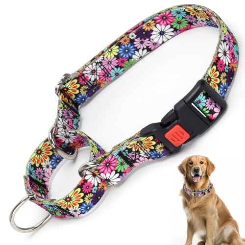 Martingale Hundehalsband für kleine, mittelgroße und große Hunde, verstellbare Sicherheitsschnalle, Hundehalsband mit buntem Gänseblümchen, Spaziergangstraining, Jungen und Mädchen, Hunde (bunt, M) von HIDAKEAI