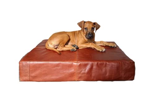 Hundebett, strapazierfähigem Leder - Extra groß - Braunes herausnehmbares Innenleder - schmutz- und geruchsabweisend - abwischbar Floh- und Milbenschutz #3 (M) von HIDESOULS