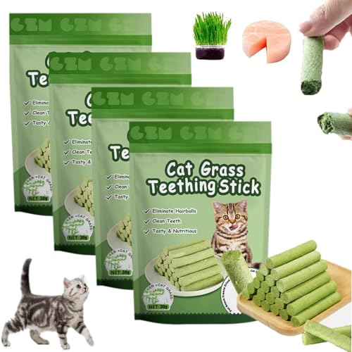 HIDRUO Berdexa Cat Grass Teething Stick,Cat Teeth Cleaning Cat Grass Stick,Chew Sticks for Cats for Increase Appetite and Hairball Removal,for Indoor Cats (4 bag/24 Sticks) von HIDRUO