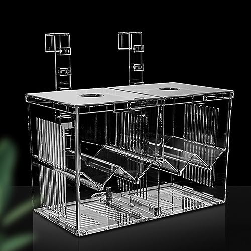 Aquarium Züchterbox Acryl Aquarium Züchter Box Isolation Brutkasten Futterboxen für kleine Fische Fry Hatchery von HIERYAN