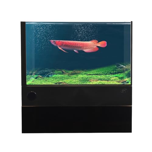 Premium Glas-Fischbecken mit integriertem Bodenfiltersystem – 30 Gallonen Ultra-klares Aquarium-Set, leiser einstellbarer Durchfluss, einfacher Wasserwechsel für Süß- und Meeresfische (18 Liter) von HIFUNBK