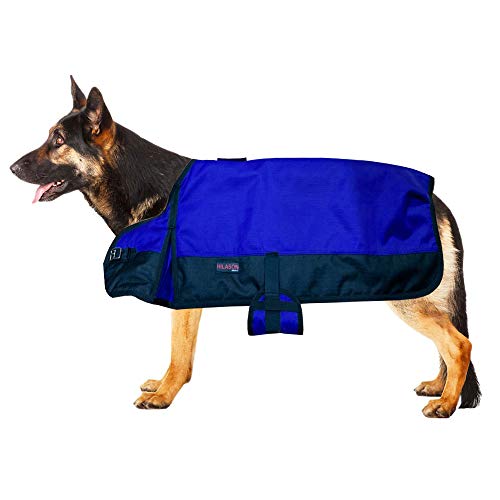 HILASON 200 GSM 1200D Winterdecke wasserdichte Hundedecke Königsblau Schwarz | Hundemäntel und Decken | wasserdichte warme Jacken | Pferdedecke Hundemantel | Haustierdecke für Schnee und kaltes Wetter von HILASON