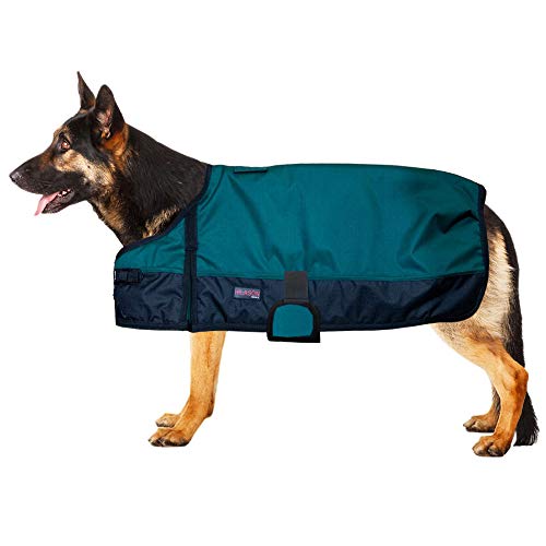 HILASON Hundedecke Regendecke, klein, 200 g/m², 600D, Polyester, Jägergrün von HILASON