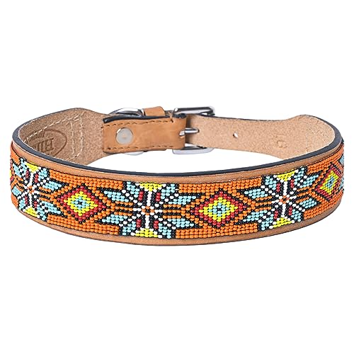 HILASON Hundehalsband aus amerikanischem Leder, 35,6 cm, Western-Stil, strapazierfähig, mit Perlen, Hundehalsband aus Leder, Western-Hundehalsband, Lederhalsband für Hunde, bequemes Hundehalsband von HILASON