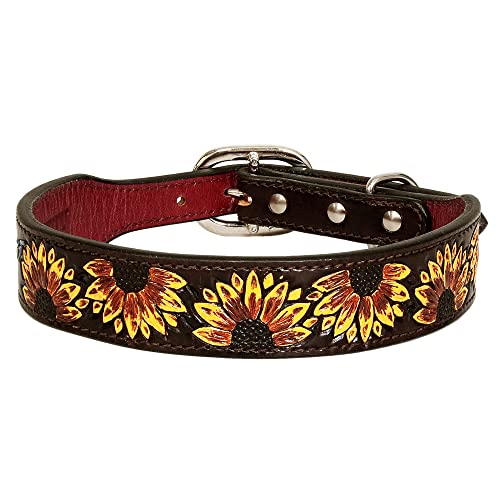 HILASON Starkes Echtleder Hundehalsband Gemalt Klein,Hundehalsband,Leder Hundehalsband,Bemaltes Hundehalsband,Bemaltes Leder Hundehalsband,Handgefertigtes Hundehalsband,Weiches Hundehalsband von HILASON