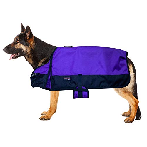 Lila Schwarz Klein HILASON 200GSM 1200D Winter Turnout Wasserdicht Hundedecke Mantel Lila Schwarz | Hundemäntel und Decken | Wasserdichte Warme Jacken | Pferdedecke Hundemantel | Haustierdecke für von HILASON