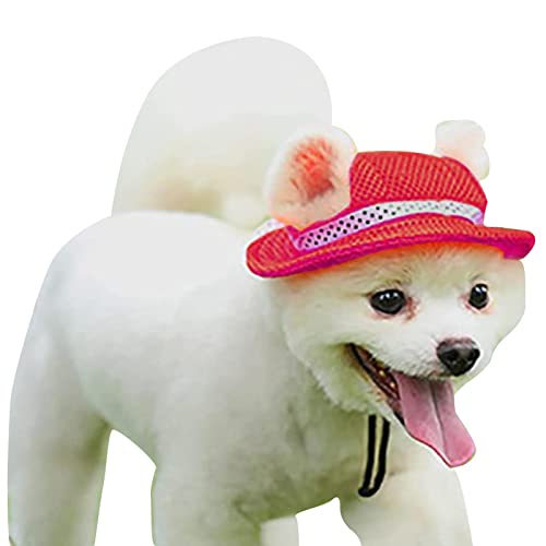 HINAA Hund Sonnenhut, Hund Outdoor Sport Sonnenschutz Mesh Hut Cap, Atmungsaktive Runde Krempe Visier Hut Sonnenhaube Outfit mit Ohrlöchern für Welpen kleine Hunde, Medium, Rot von HINAA