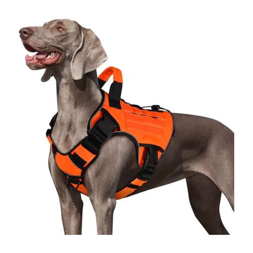 Reflektierendes, ausbruchsicheres Hundegeschirr mit gepolstertem Brustgurt, verstellbare Passform, für M/L Rassen, Outdoor-Training, Spazierengehen, Nylon-Hundegeschirr Reflektierendes, ausbruchsicheres Hundegeschirr mit gepolstertem Brustgurt, verstellbare Passform, für M/L Rassen, Outdoor-Training, Spazierengehen, Nylon-Hundegeschirr von HINAYOSAN