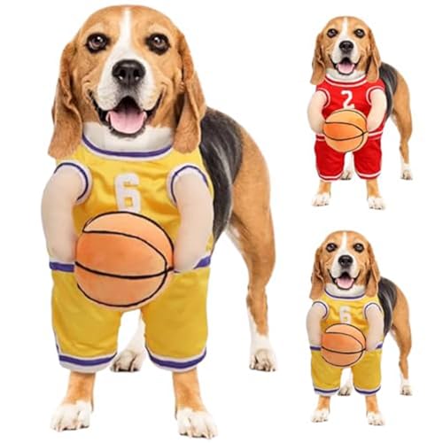 HINNVCL Hunde-Basketballkostüm mit Ball, Basketball Hundekostüm, Hund im Basketballkostüm, Hunde-Basketballspieler-Kostüm, Hunde-Basketball-Halloween-Kostüm für kleine mittelgroße Hunde von HINNVCL