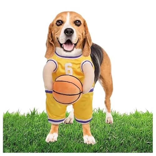 HINNVCL Hunde-Basketballkostüm mit Ball, Halloween-Basketball-Hundekostüm, Hund im Basketballkostüm, Hunde-Basketballspieler-Kostüm, Hunde-Basketball-Kostüm für kleine mittelgroße Hunde von HINNVCL