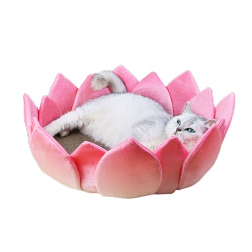 Kratzbrett Wellpapier Kratzmatte LotusShape Bett Katze Schleifkralle Kratzbaum Katzenbedarf von HIOPOIUYT